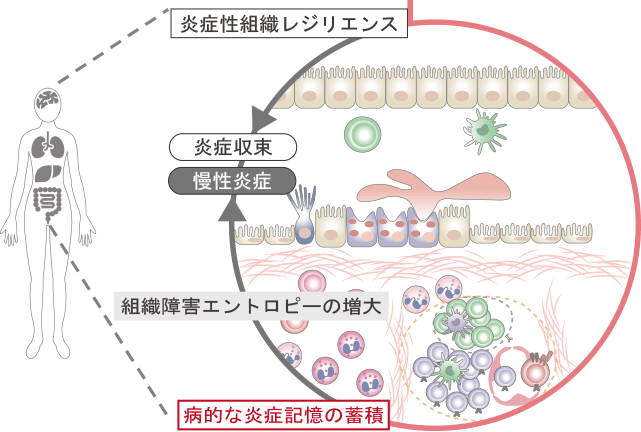メガホリズム : 組織に巣食う原罪 : 過組織症 メガホリズム 組織に巣食う原罪 | 佐藤眞一, 本多ハワード素子