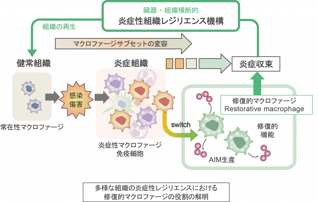 B01　新井　郷子
